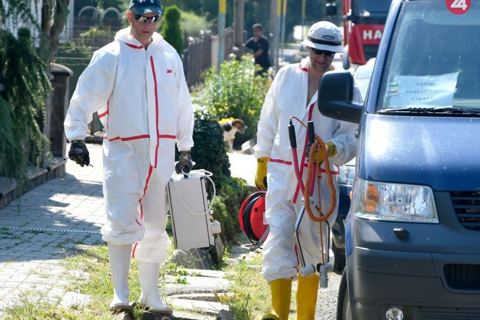 Africký mor ošípaných