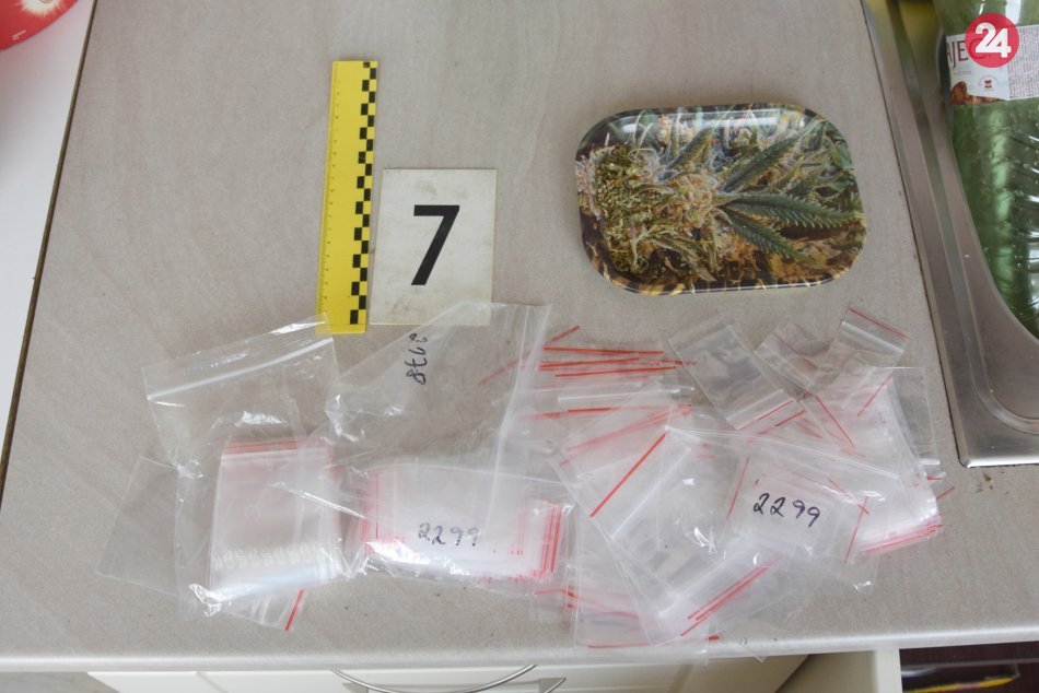 V jednom z lučeneckých bytov našli drogy