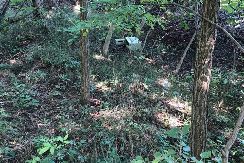 Šikovný policajný pes Iron: Vyňuchal ukradnutý trezor