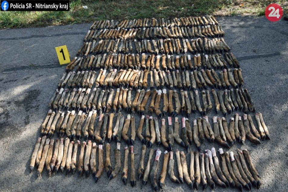 V polovnom revíri v okrese Nové Zámky sa našli stovky zvieracích končatín