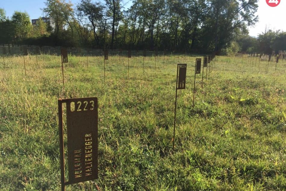 V OBRAZOCH: Práce na cintoríne v Majeri pokračujú