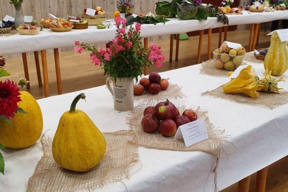 FOTO: V Ondrašovej vystavujú zemiaky z kvetináča aj indickú uhorku