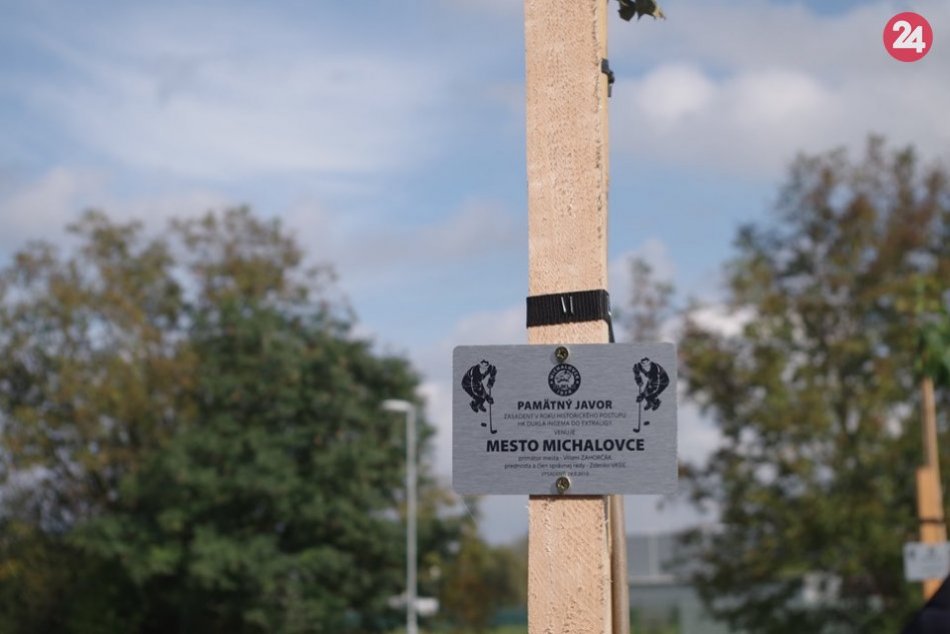Už ste si to pri michalovskom zimáku všimli? Pribudli tam pamätné javory