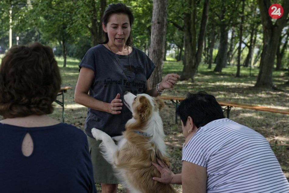 V trebišovskej nemocnici pomáhajú psí terapeuti