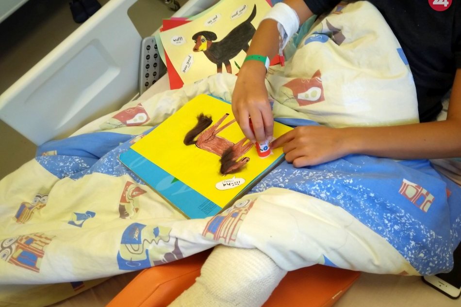 V OBRAZOCH: Európsky deň jazykov 2019 v Základnej škole pri nemocnici