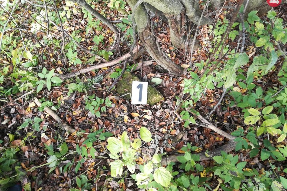 Ukradnuté peniaze mal zakopať v lese: Podozrivý Zvolenčan (38) skončil v cele