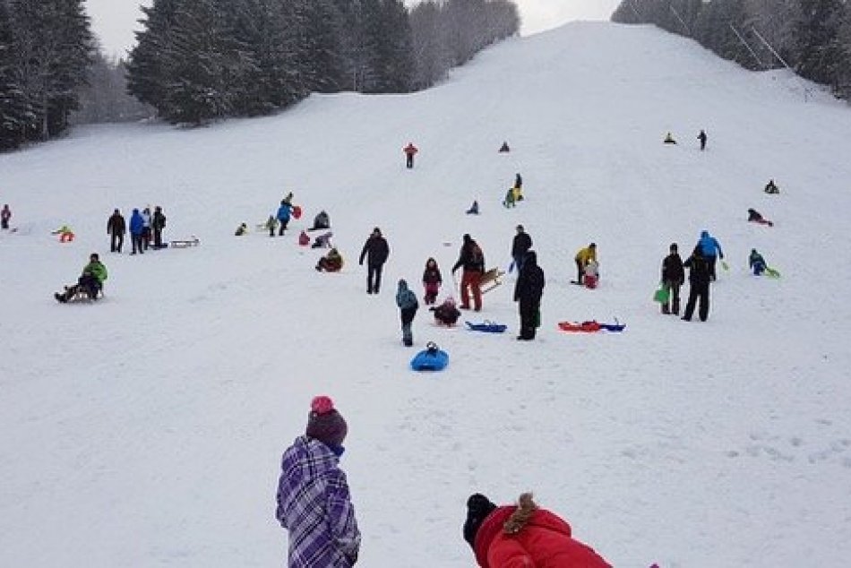 V OBRAZOCH: Aktivity občianskej platformy Otcovia a deti
