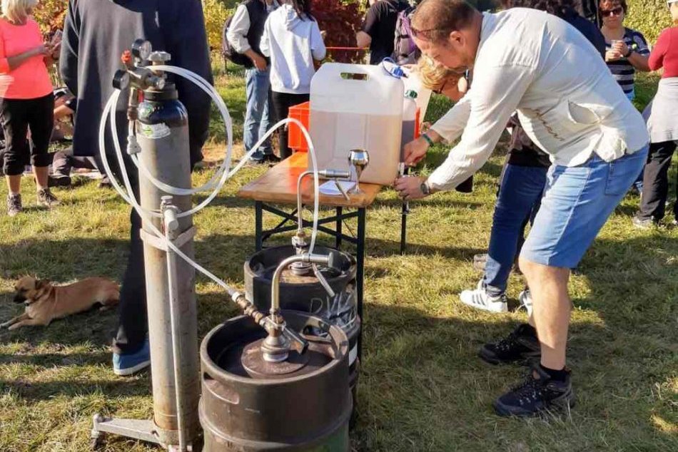 Turistika, víno, kultúra i zábava: Putovanie vinohradmi dopadlo na výbornú, FOTO