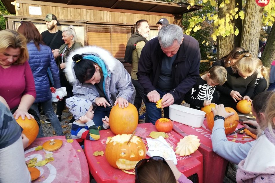 Zachytené objektívom: Tradičné podujatie ukončilo v ZOO hlavnú sezónu
