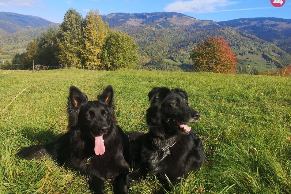 V OBRAZOCH: Takto čitatelia zvečnili jeseň v Revúcej a na Gemeri