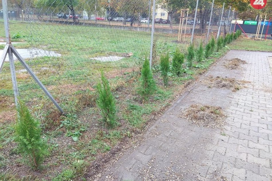 Revitalizácia vnútrobloku na Lastovičej ulici