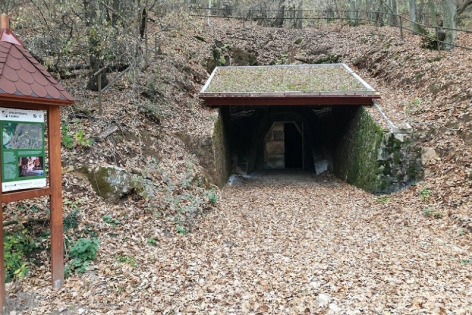 Obrazom: Speleoterapia v Domici