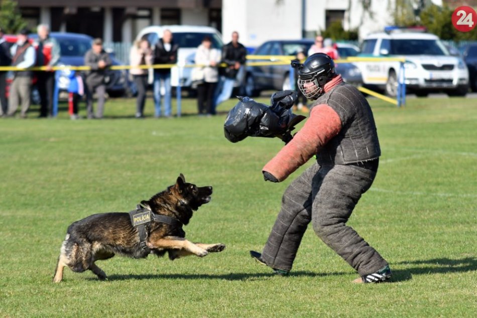 Majstrovstvá Slovenska na Šírave - 1.obranársky pretek vo výkone služobných psov