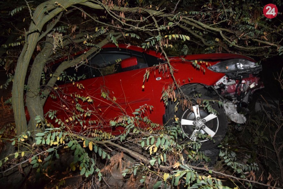 Cez sviatky úradoval alkohol: Na cestách v Nitrianskom kraji nafúkalo 42 ľudí