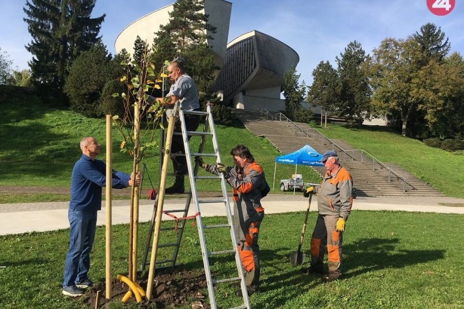 V OBRAZOCH: Víťazné projekty financované z Participatívneho rozpočtu
