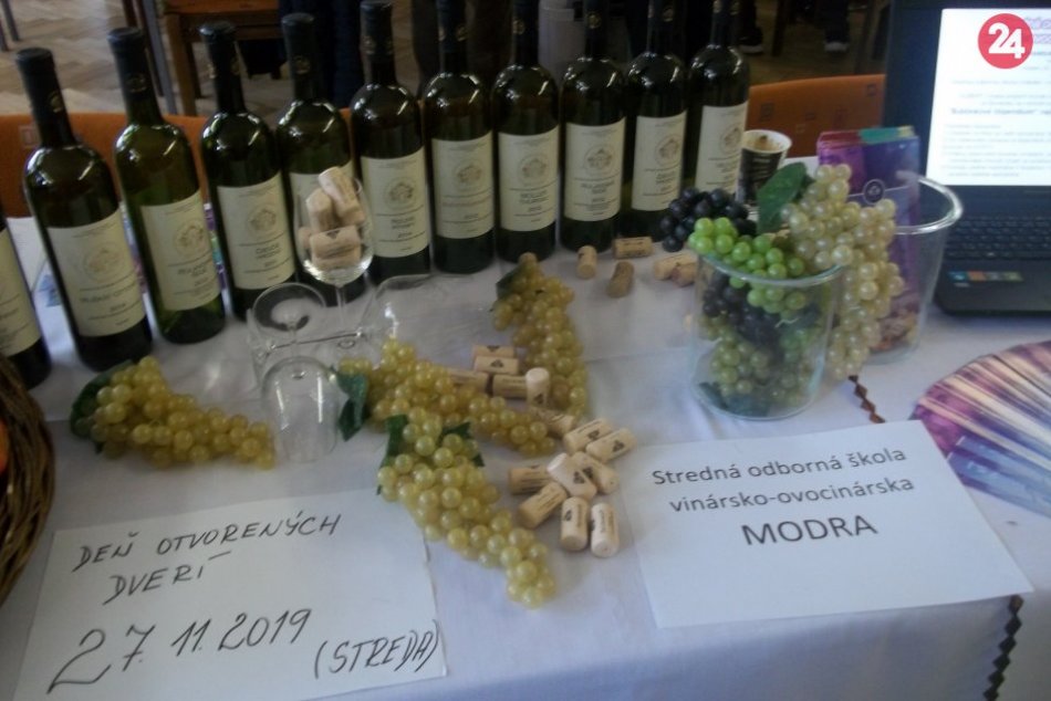 V Šali bola Burza stredných škôl: Sálu zaplnilo 20 prezentačných stánkov, FOTO