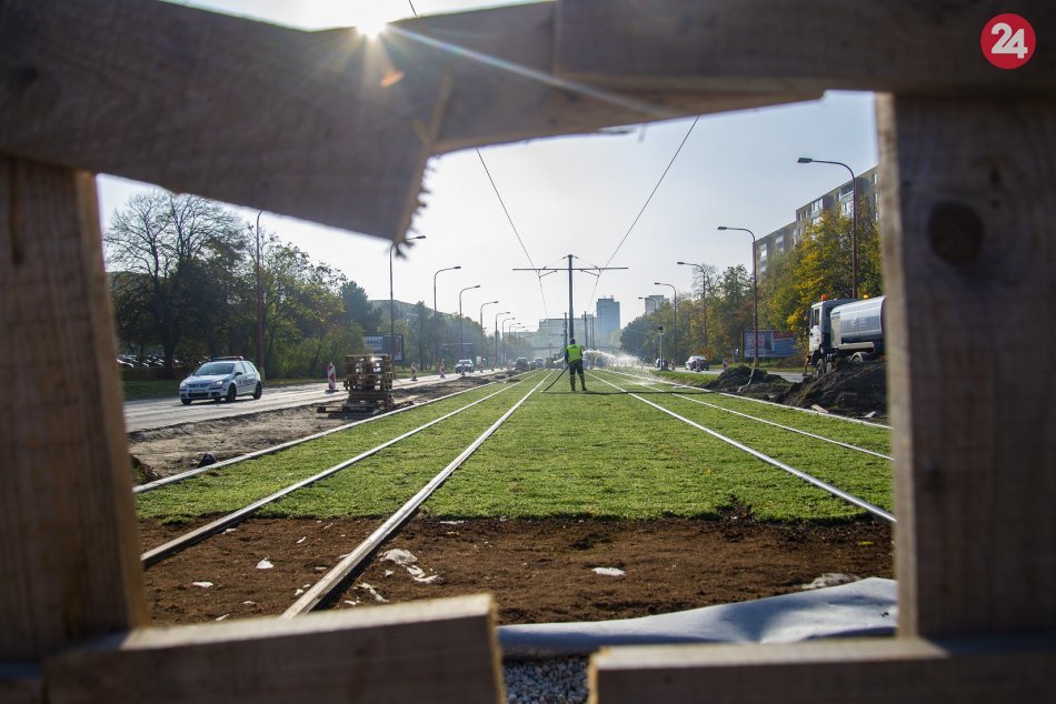 Karloveská radiála sa zazelenala (doplnené foto z 28.11.19)
