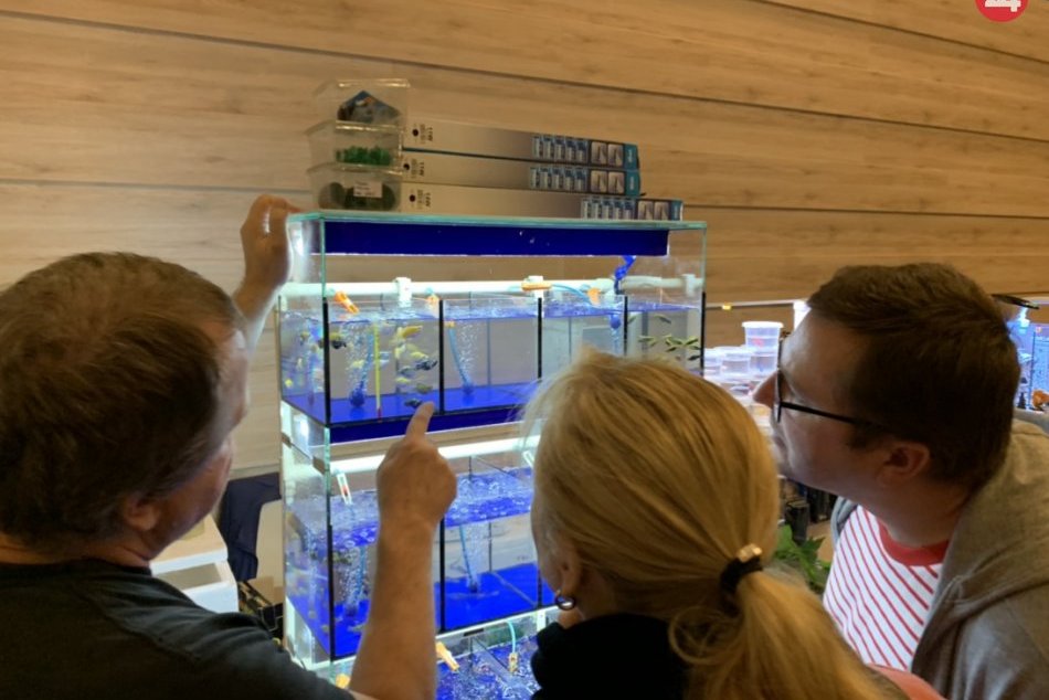 V OBRAZOCH: Akvatera 2019