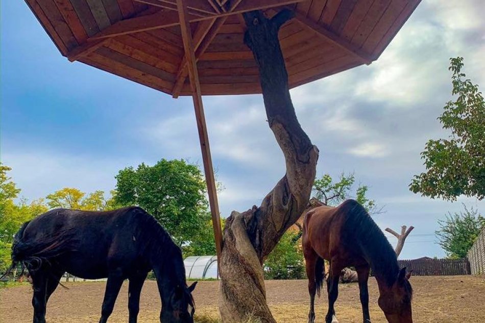 Farma Jaroslava Kmeťa