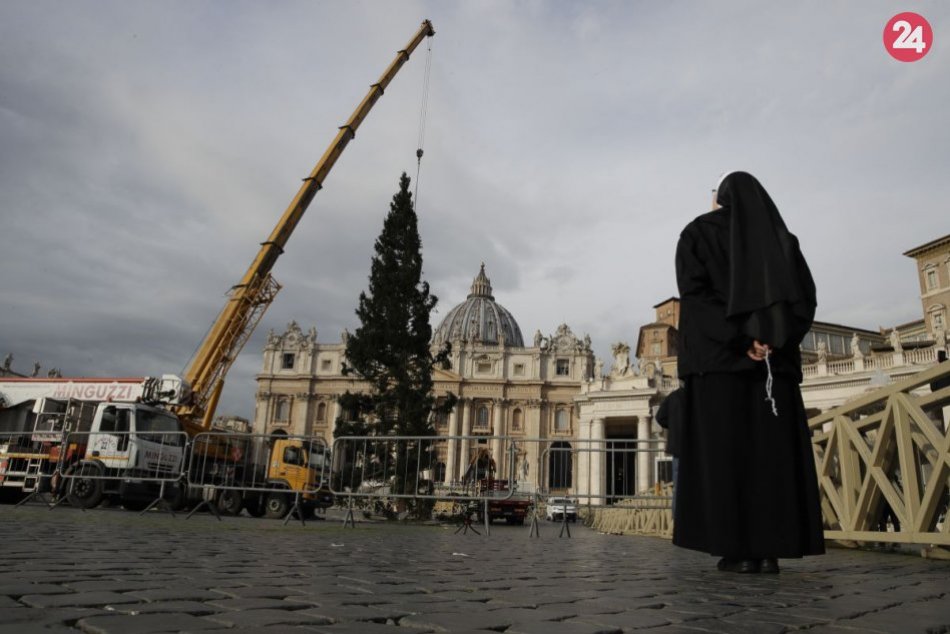 Vianočný stromček vo Vatikáne