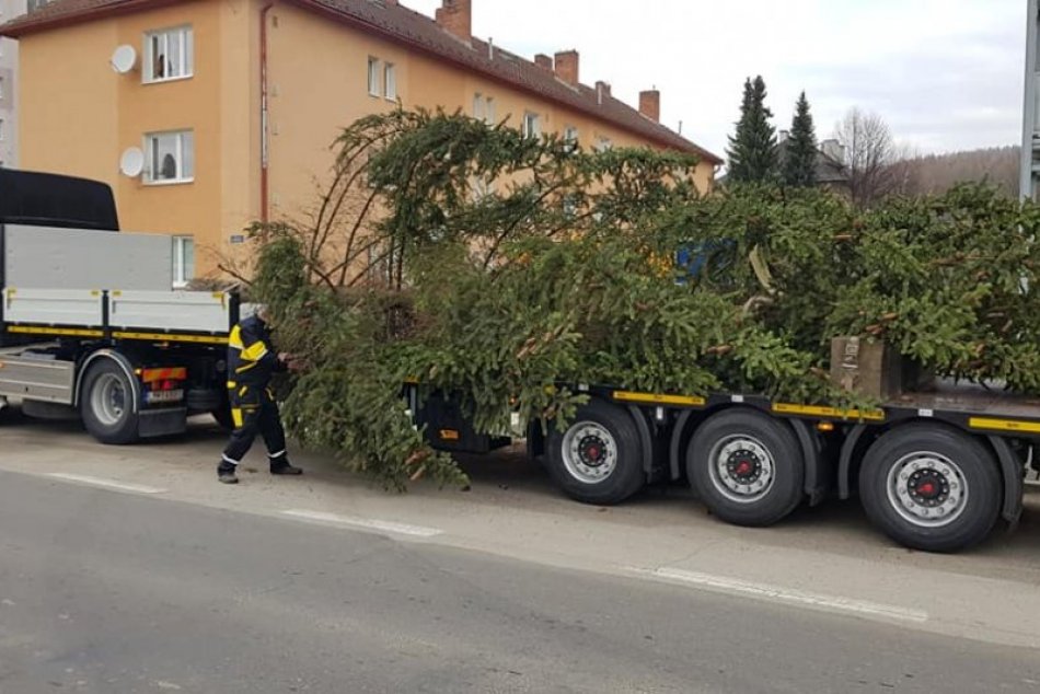 FOTO: Stavanie vianočného stromčeku v centre mesta