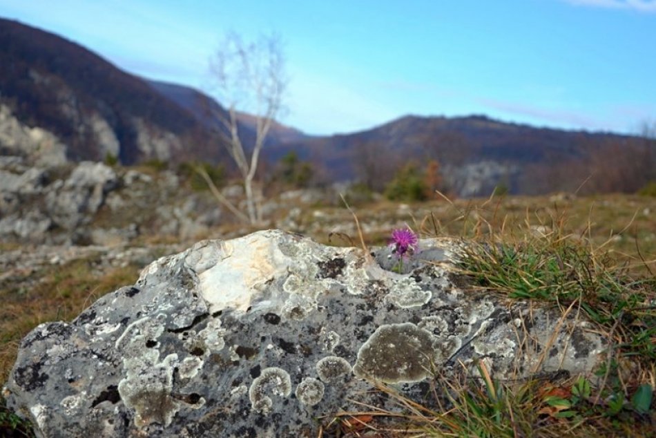 Obrazom: Jesenný Zádiel