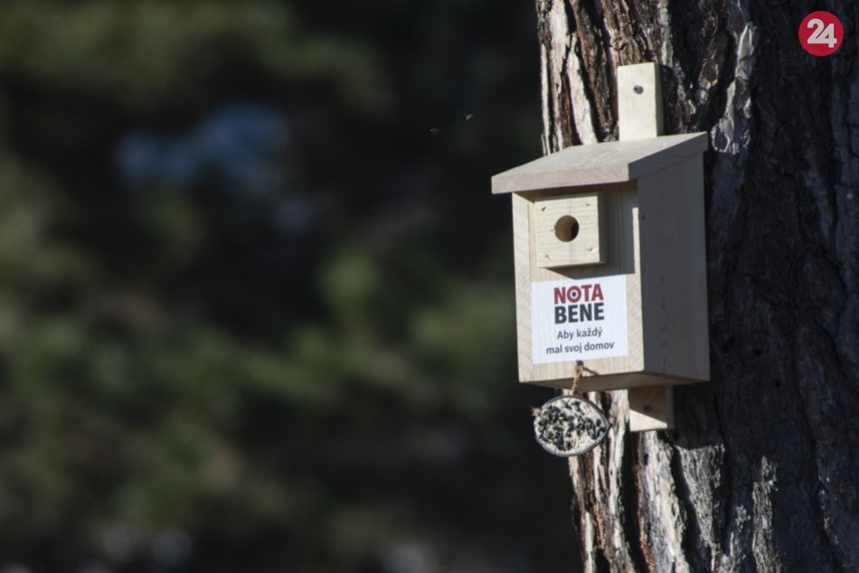 Vtáčie búdky v záhrade Prezidentského paláca