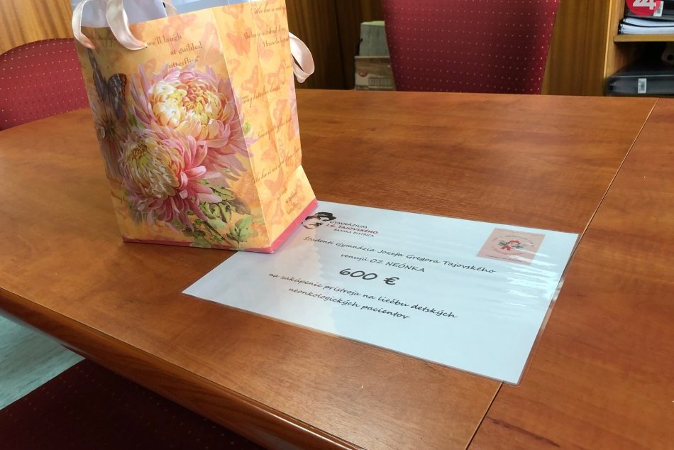 V OBRAZOCH: Študenti Gymnázia J. G. Tajovského pomohli OZ Neónka