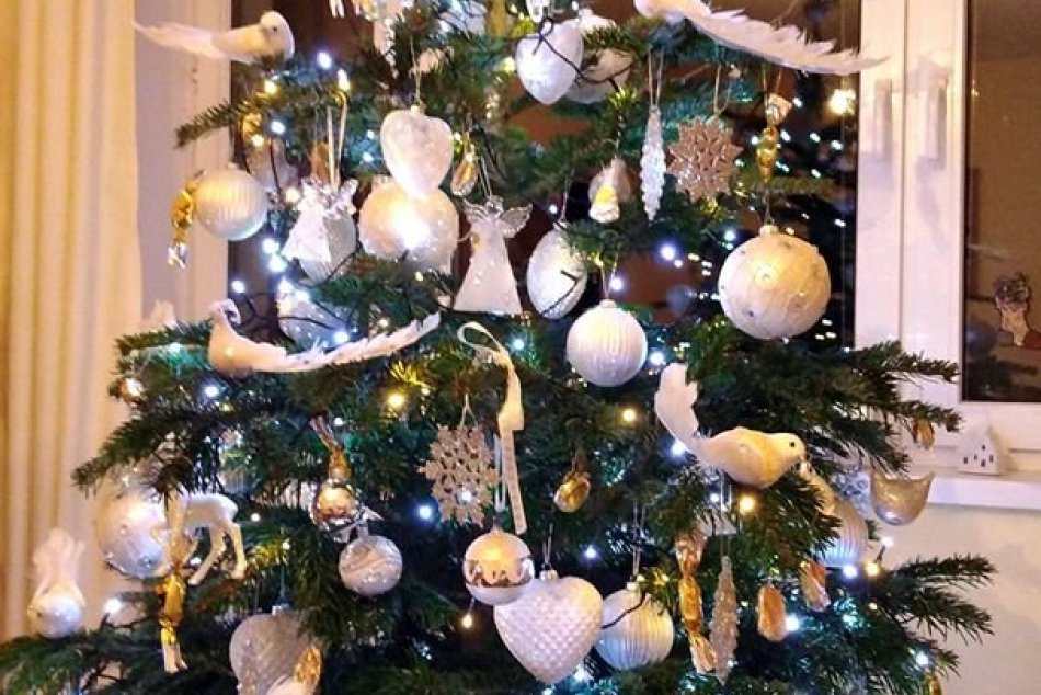 Vianočný stromček očami Popradčanov