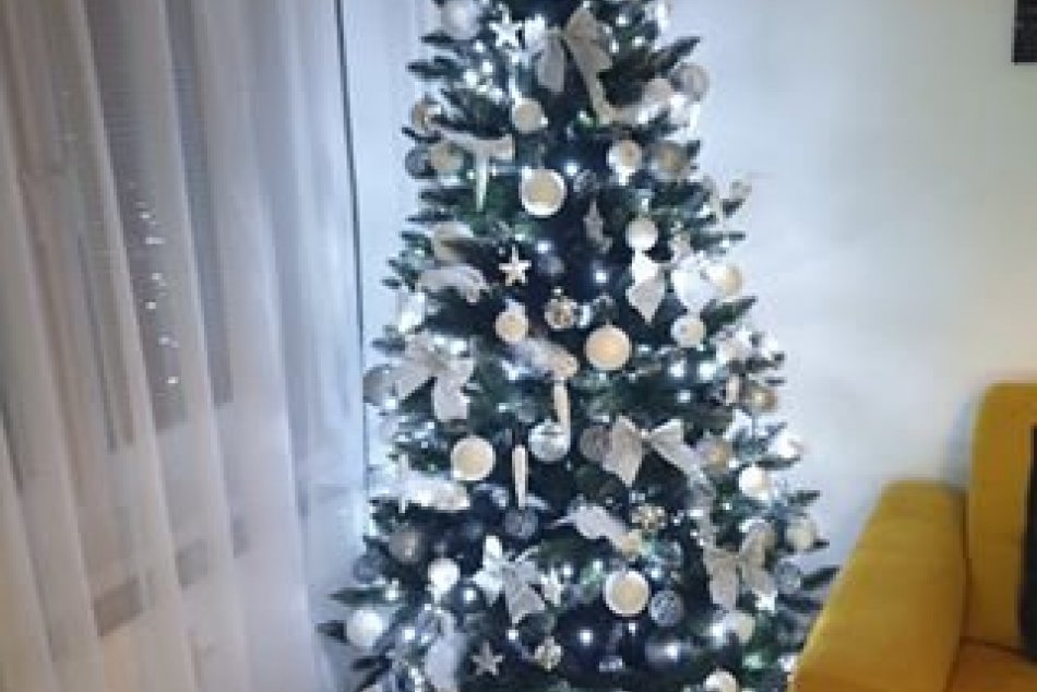 FOTO: Vianočné stromčeky Mikulášanov