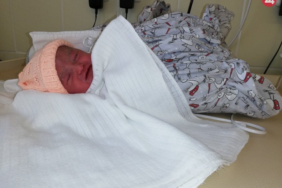 Obrazom: V novom roku hrali v novoveskej nemocnici prim dievčatá