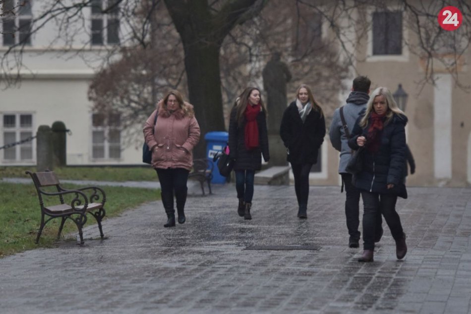Poľadovica v Trnavskom kraji