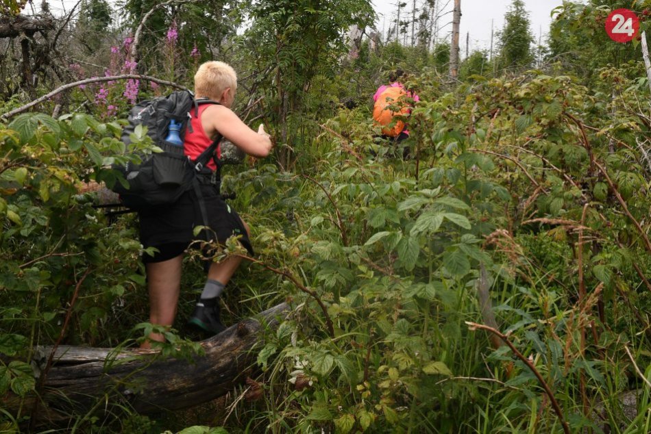 V OBRAZOCH: Turistika v Národnom parku Muránska planina