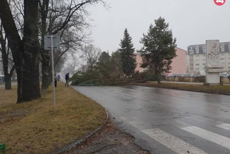 OBRAZOM: Párminútová víchrica vyvracala v Spišskej stromy