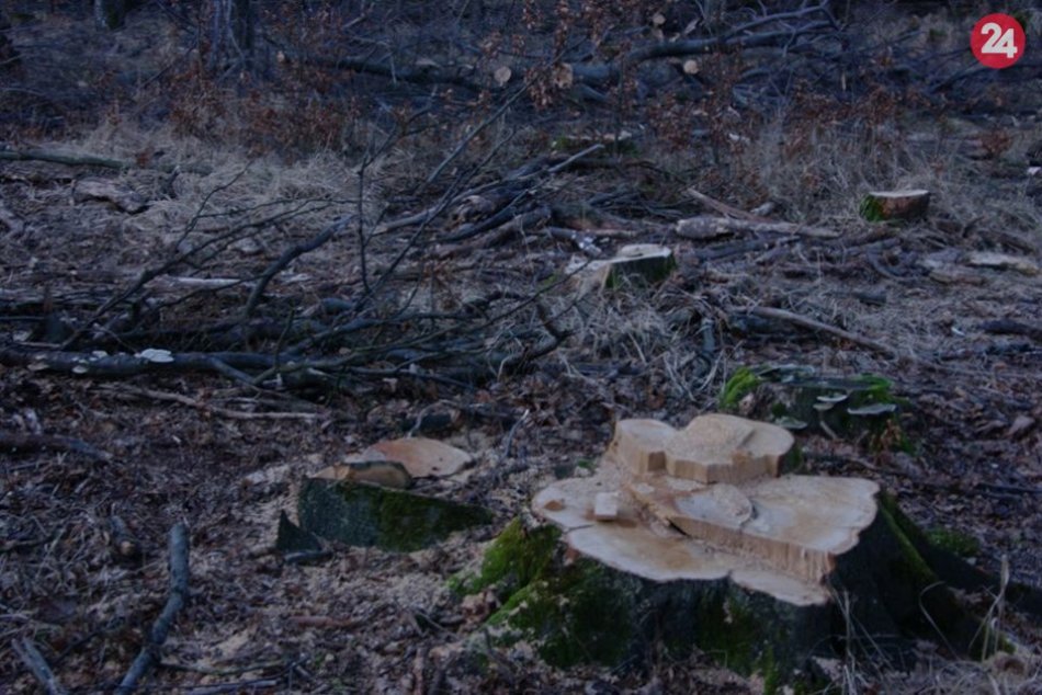 Ťažba vo Svätom Jure