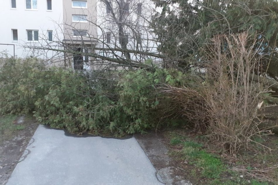 Víchrica Yulia v Bratislave.