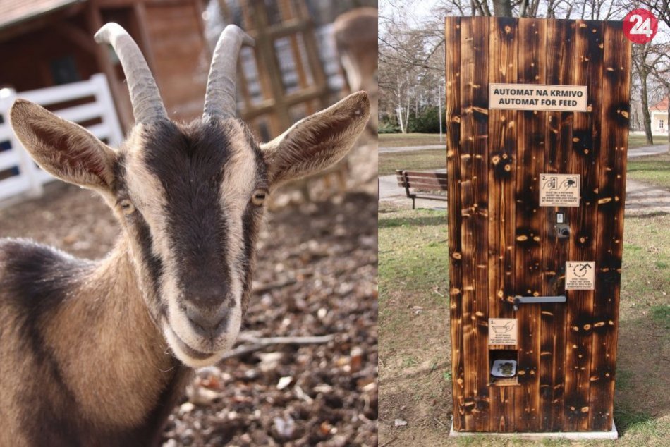V parku pribudol nový automat na krmivo pre zvieratá