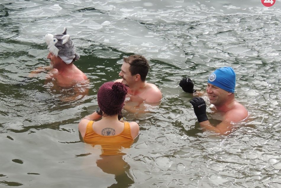 Z volieb rovno do zamrznutého tajchu: Zahlasovať nezabudli ani ľadové medvede