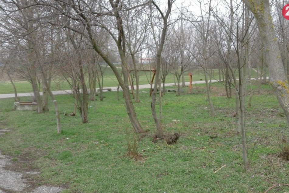 V šalianskom lesoparku opäť pulzuje život: Už ste videli, čím ho skrášlili? FOTO