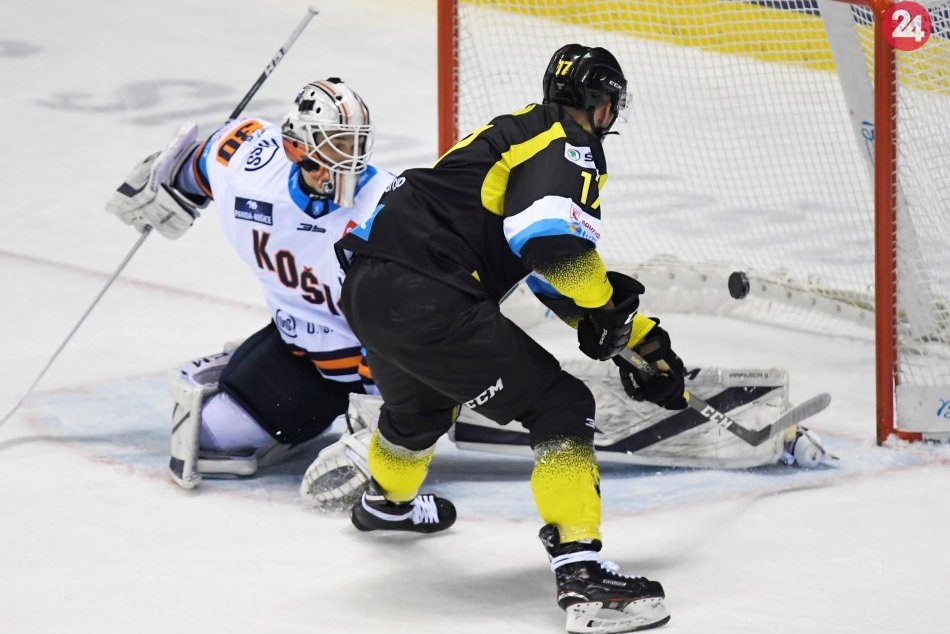 Sýkora maká ako murár