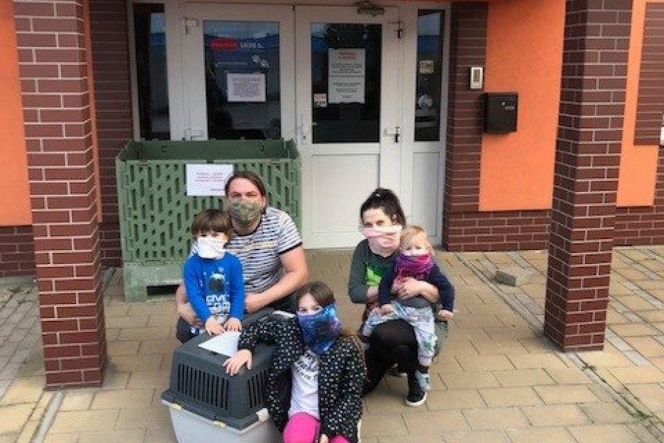 Venčenie je pozastavené, adopcie naďalej fungujú!