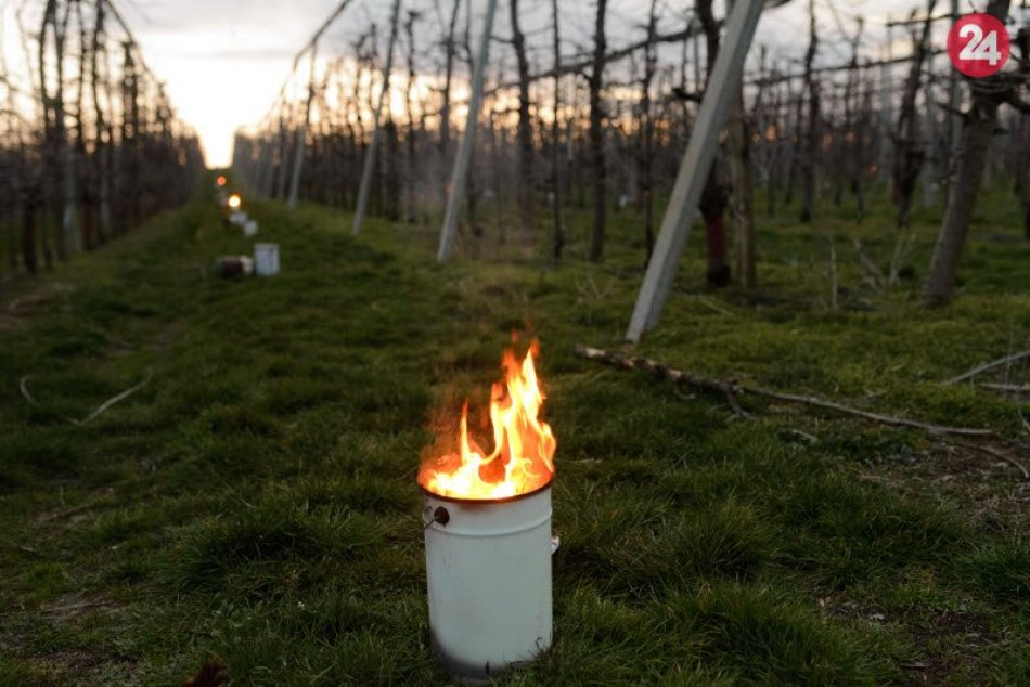 Ochrana pred mrazom v ovocnom sade pri obci Branovo