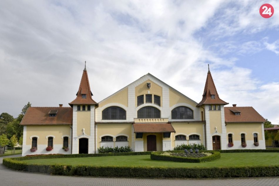 Chov lipicanov v Topoľčiankach