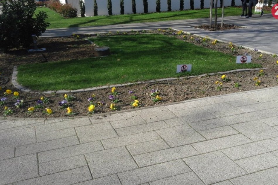 Do ulíc vstúpila jar: TAKTO rozkvitla Šaľa, FOTO