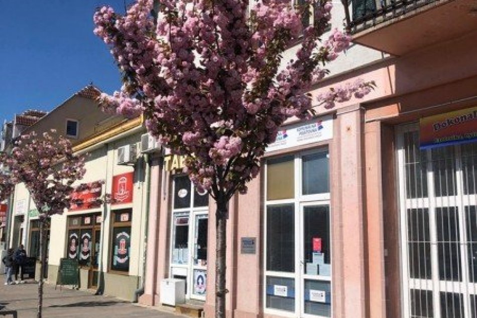 Malý kúsok Japonska v uliciach Šale