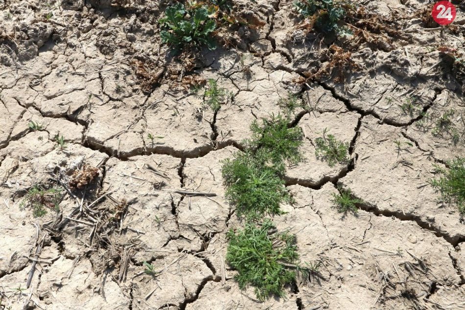 V OBRAZOCH: Sucho na poliach pri Očovej