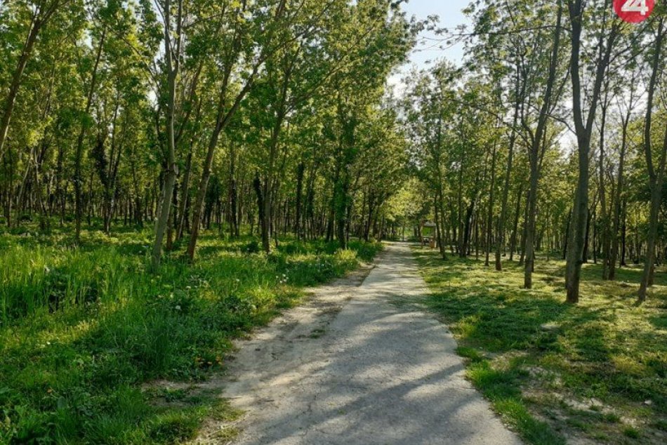 Radnica pokračuje so skrášľovaním lesoparku
