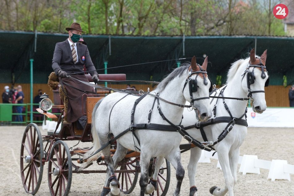 Sezónu v Národnom žrebčíne otvorili bez verejnosti