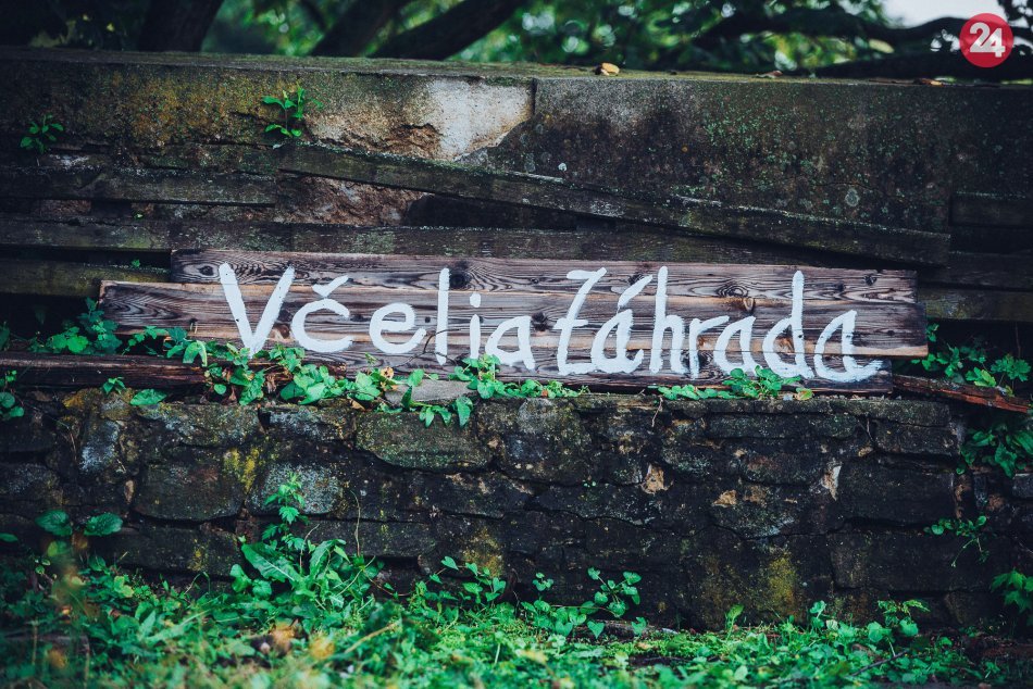 Obrazom: Bašta v Prešove, včely a starostlivosť o ne