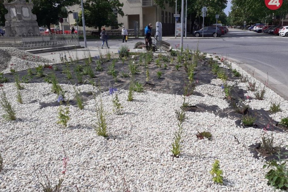 Nový trvalkový záhon v Šali